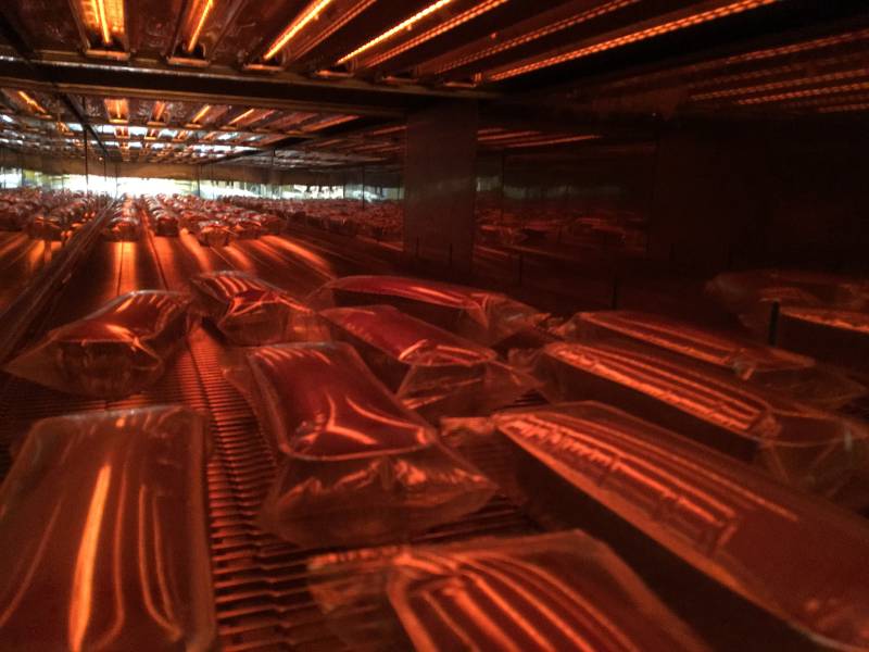 Cake pasteurization in industrial electric short wave infrared oven