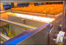 
Our area of ​​activity for this service Tailor-Made Infrared and UV Solutions for Crosslinking, Booster, and Converting Needs in